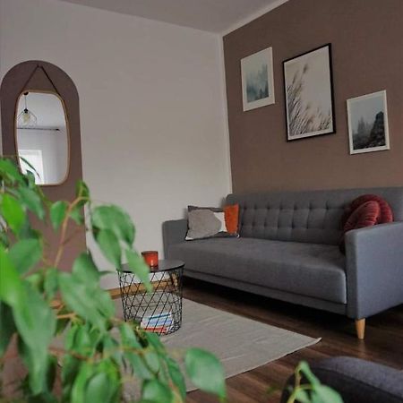 Cozy Apart Toplita المظهر الخارجي الصورة