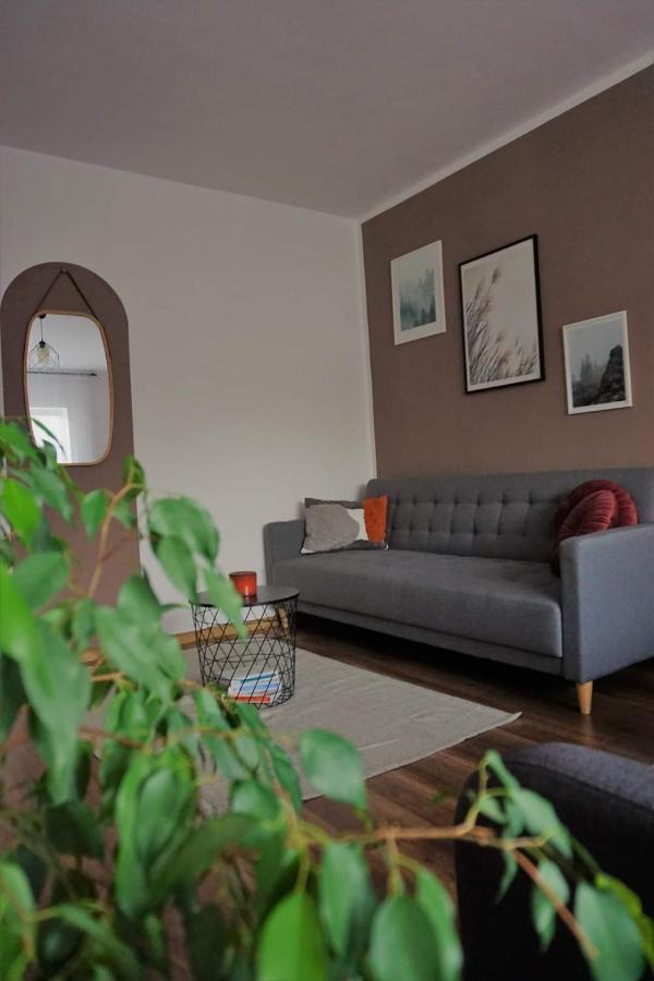 Cozy Apart Toplita المظهر الخارجي الصورة