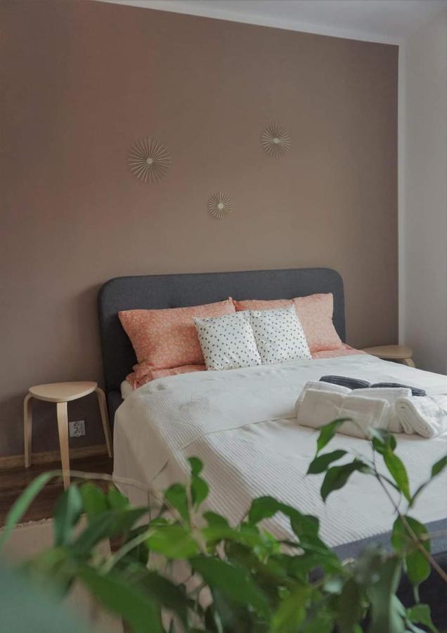 Cozy Apart Toplita المظهر الخارجي الصورة